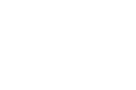 Saltire Energy logo
